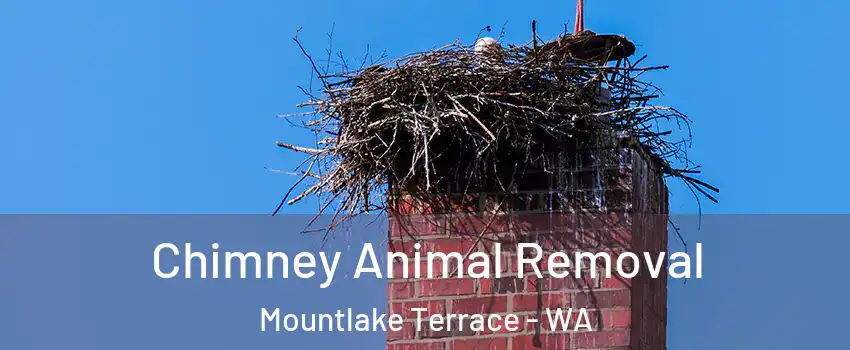 Chimney Animal Removal Mountlake Terrace - WA