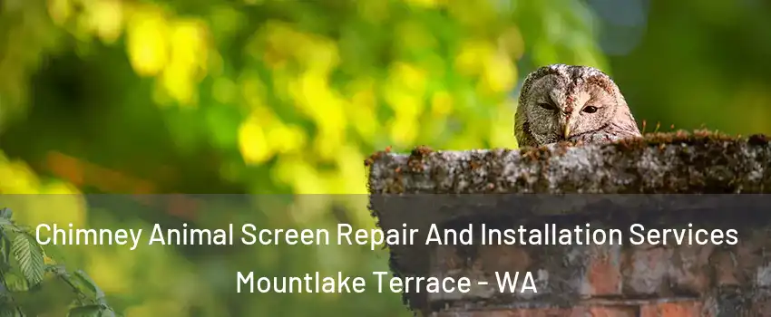  Chimney Animal Screen Repair And Installation Services Mountlake Terrace - WA