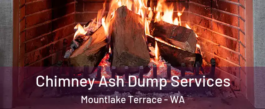  Chimney Ash Dump Services Mountlake Terrace - WA