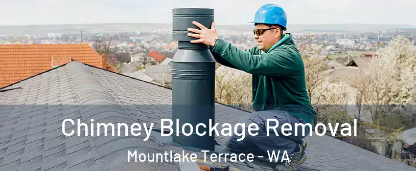  Chimney Blockage Removal Mountlake Terrace - WA