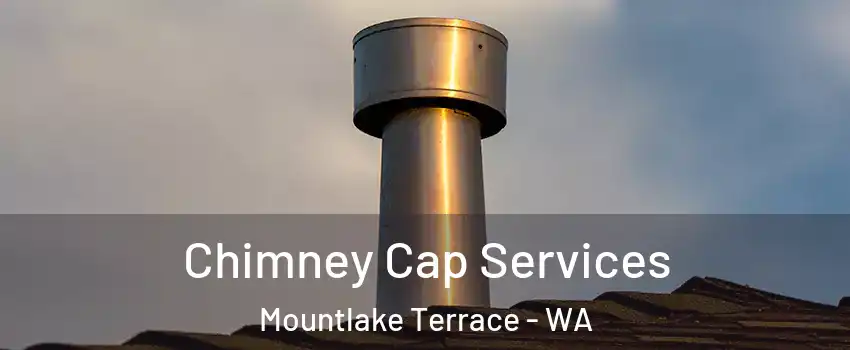  Chimney Cap Services Mountlake Terrace - WA