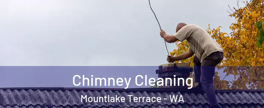  Chimney Cleaning Mountlake Terrace - WA