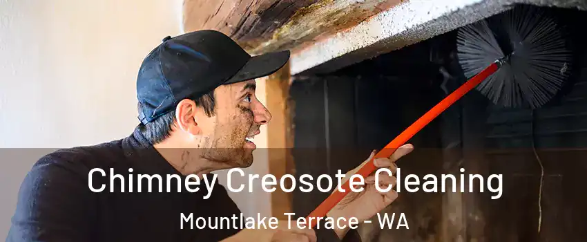  Chimney Creosote Cleaning Mountlake Terrace - WA