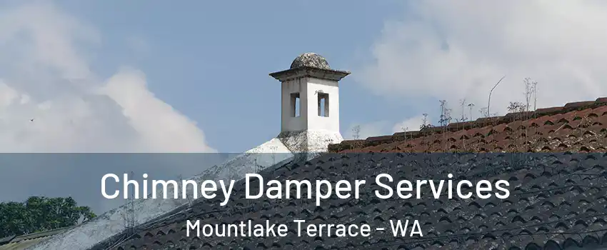  Chimney Damper Services Mountlake Terrace - WA
