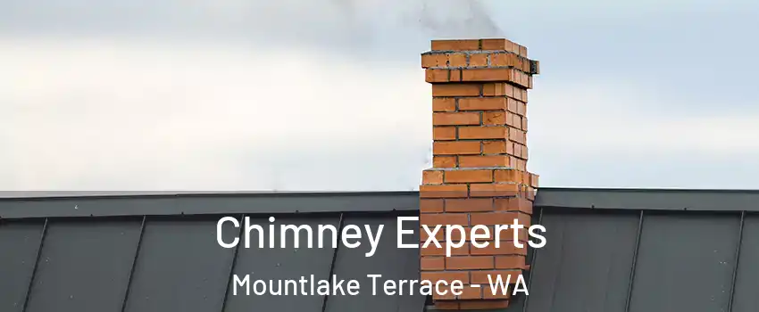  Chimney Experts Mountlake Terrace - WA