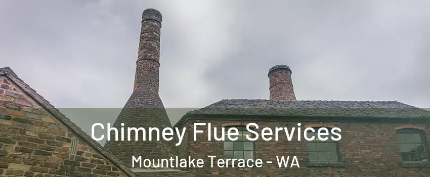  Chimney Flue Services Mountlake Terrace - WA