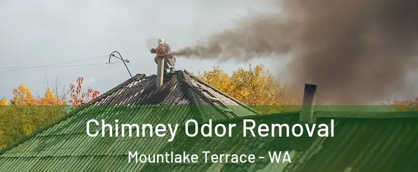  Chimney Odor Removal Mountlake Terrace - WA