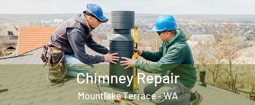 Chimney Repair Mountlake Terrace - WA