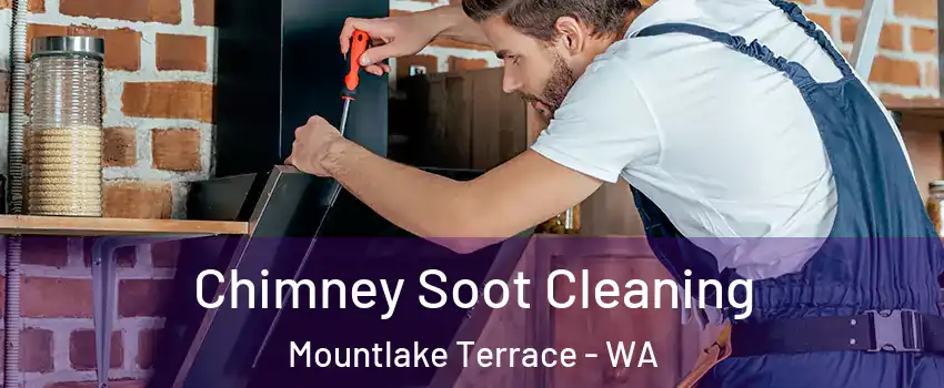  Chimney Soot Cleaning Mountlake Terrace - WA