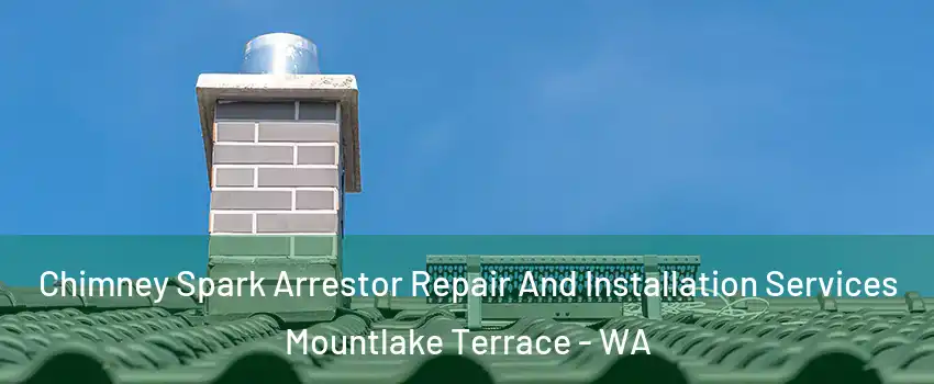  Chimney Spark Arrestor Repair And Installation Services Mountlake Terrace - WA