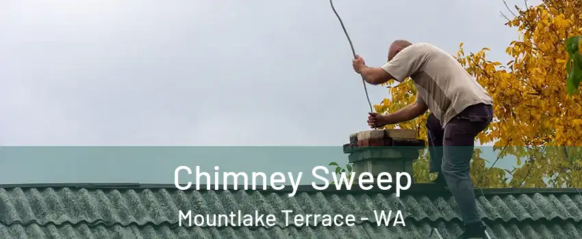  Chimney Sweep Mountlake Terrace - WA