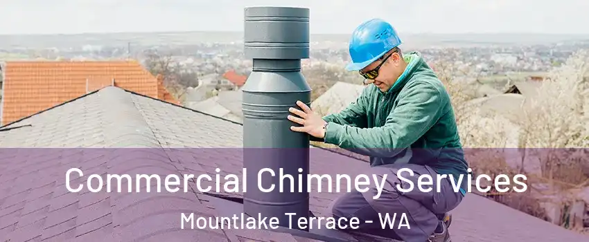  Commercial Chimney Services Mountlake Terrace - WA