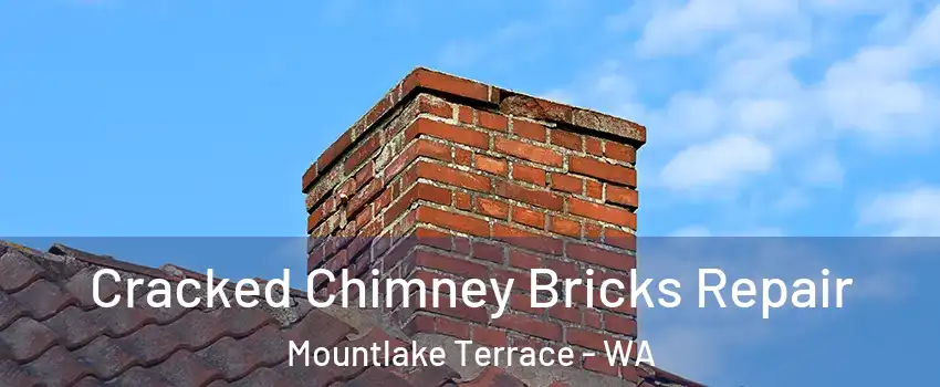  Cracked Chimney Bricks Repair Mountlake Terrace - WA