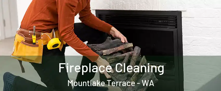 Fireplace Cleaning Mountlake Terrace - WA