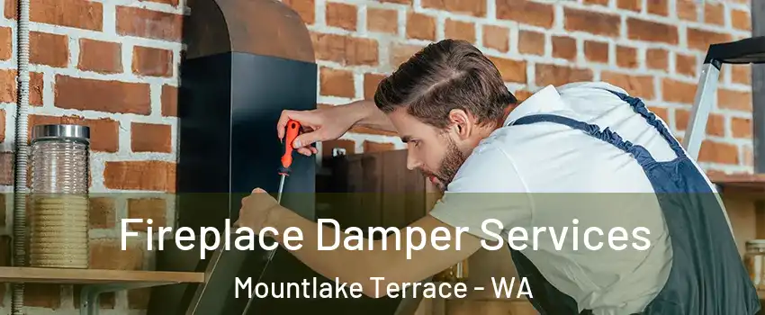  Fireplace Damper Services Mountlake Terrace - WA