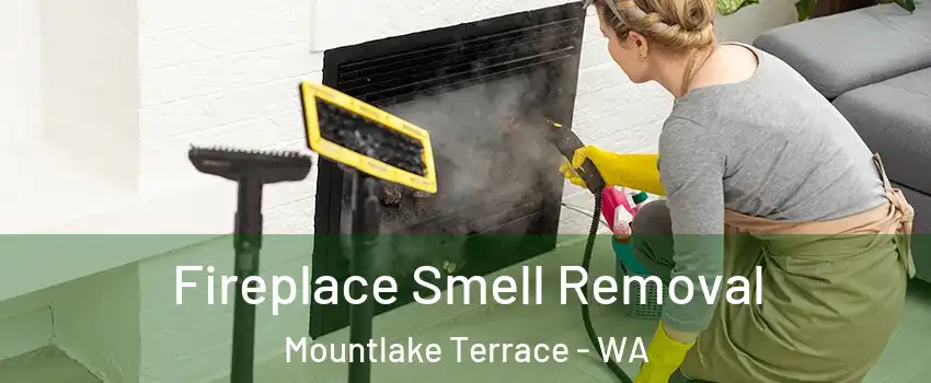  Fireplace Smell Removal Mountlake Terrace - WA