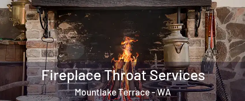  Fireplace Throat Services Mountlake Terrace - WA