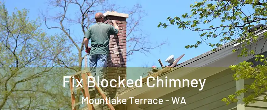  Fix Blocked Chimney Mountlake Terrace - WA