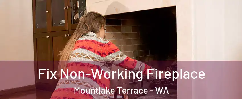  Fix Non-Working Fireplace Mountlake Terrace - WA