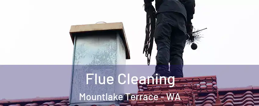  Flue Cleaning Mountlake Terrace - WA