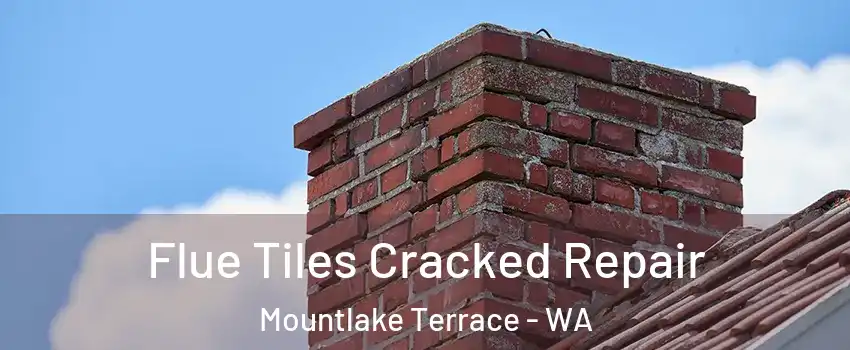  Flue Tiles Cracked Repair Mountlake Terrace - WA