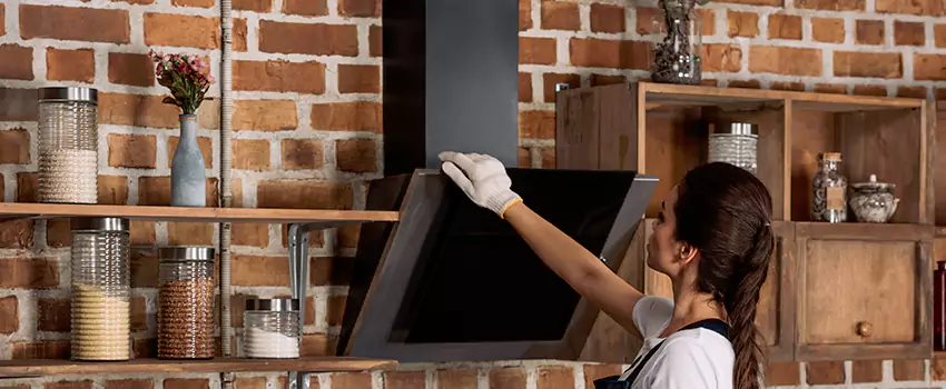 Chimney Installation in Mountlake Terrace, WA