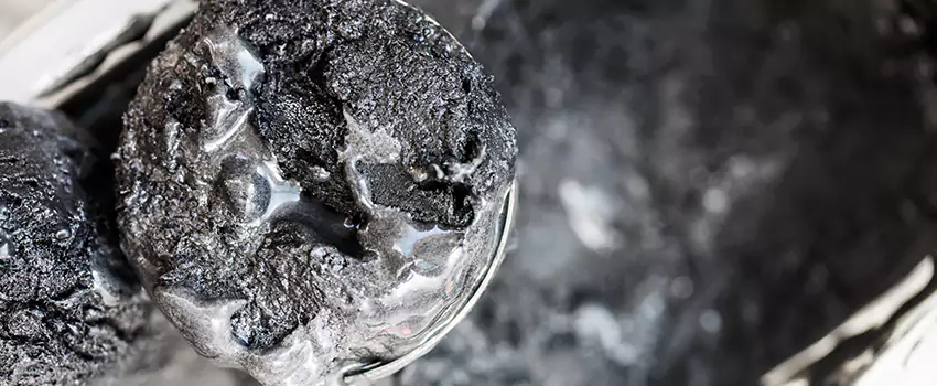Clogged Dryer Vent Lint Cleaning in Mountlake Terrace, Washington