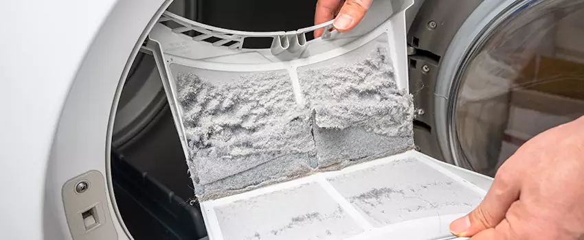 Best Dryer Lint Removal Company in Mountlake Terrace, Washington