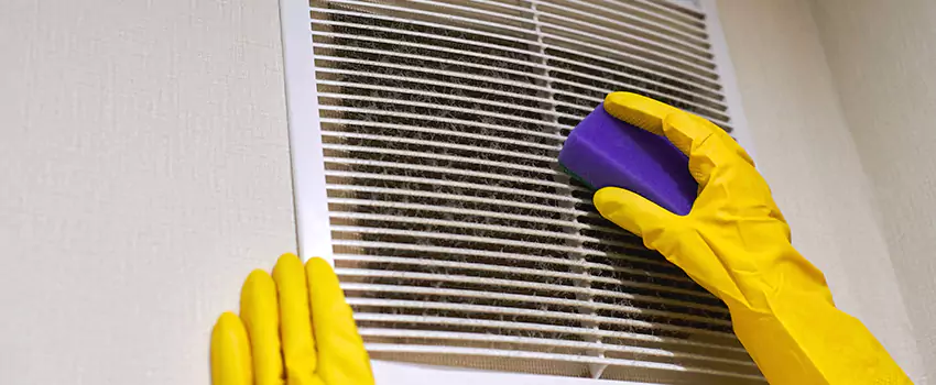 Vent Cleaning Company in Mountlake Terrace, WA