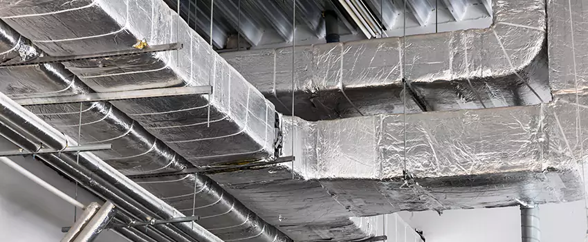 Vent Dust Cleaning Cost in Mountlake Terrace, WA