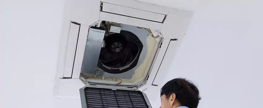 Benefits of Professional Air Duct Cleaning in Mountlake Terrace, Washington