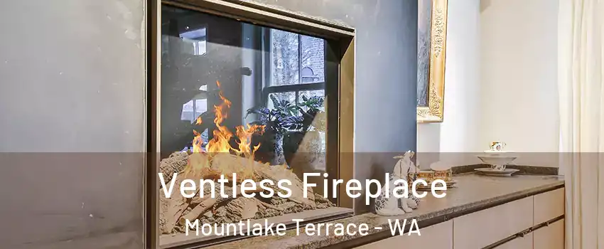  Ventless Fireplace Mountlake Terrace - WA